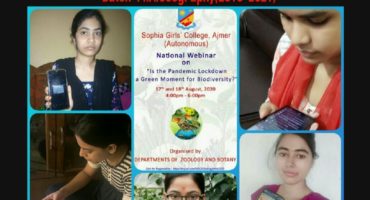 37c89e91-bbbd-4982-94bd-b477e8ebe1d6