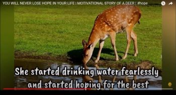 WhatsApp Image 2022-12-02 at 17.25.46