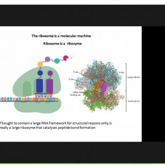 WhatsApp Image 2023-01-18 at 10.42.05 (1)