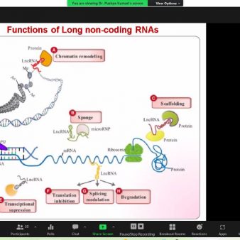 WhatsApp Image 2023-01-18 at 10.42.05