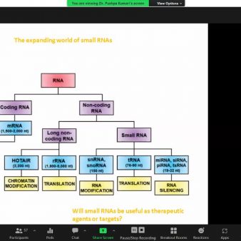 WhatsApp Image 2023-01-18 at 10.43.08