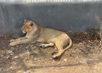 WhatsApp Image 2023-02-26 at 16.20.43 (1)