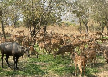 WhatsApp Image 2023-02-26 at 16.20.43