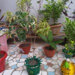 Top College in Patna | Geo-MA