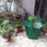 Top College in Patna | Geo-MA